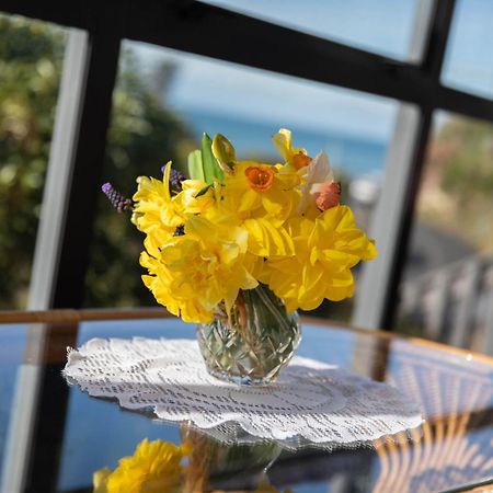 Petra Seaside Apartment Dunedin Bagian luar foto