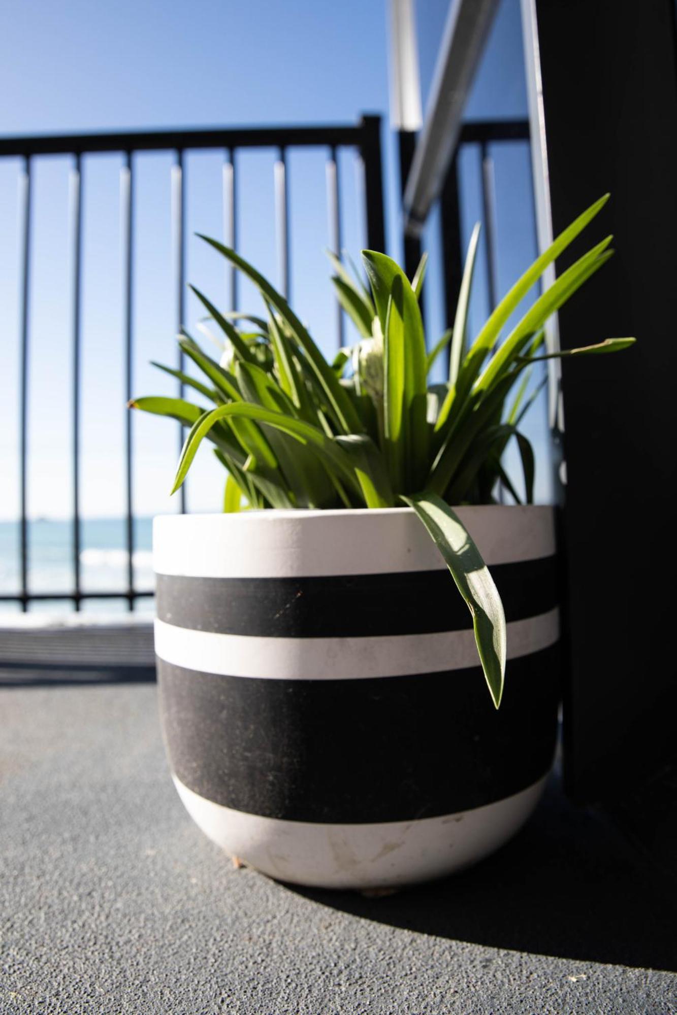 Petra Seaside Apartment Dunedin Bagian luar foto
