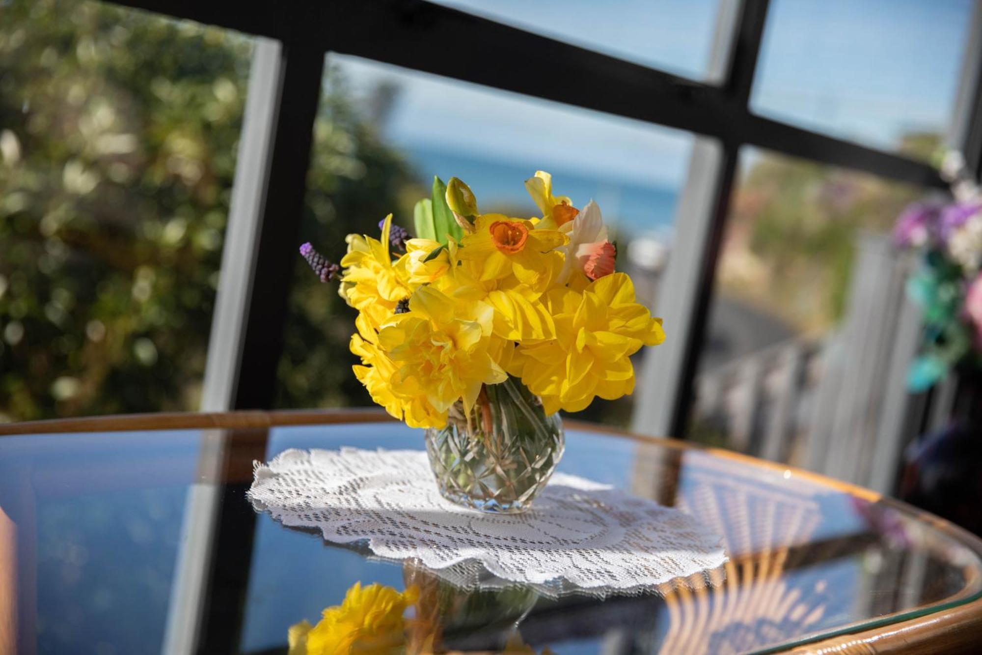 Petra Seaside Apartment Dunedin Bagian luar foto